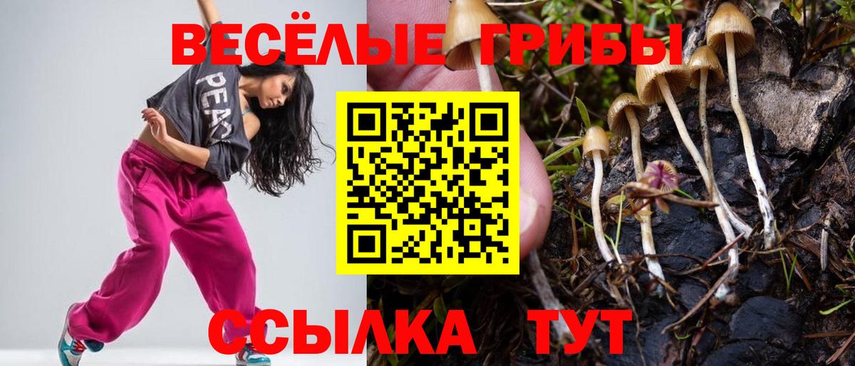 Долгопрудный  Галлюциногенные грибы Magic Shrooms  Псилоцибиновые грибы Psilocybine cubensis  Вход с VPN 