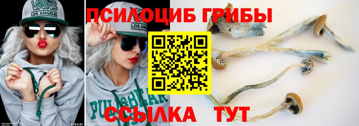 Псилоцибиновые грибы Magic Shrooms Долгопрудный